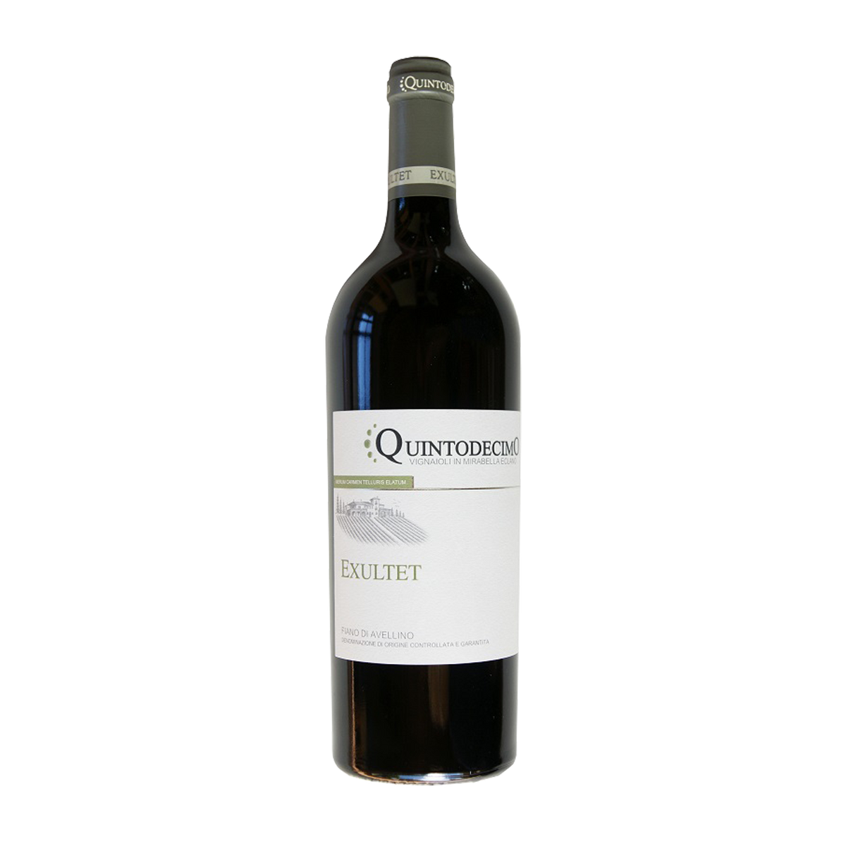Quintodecimo Exultet Fiano 75 cl